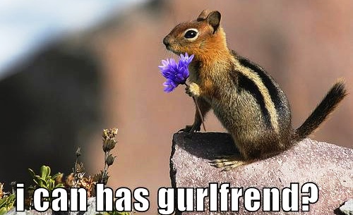 funny-pictures-squirrel-girlfriend11
